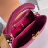 Louis Vuitton Capucines BB Handbag