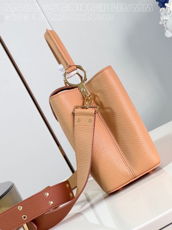Louis Vuitton Capucines MM Handbag