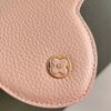 Louis Vuitton Capucines MM Handbag