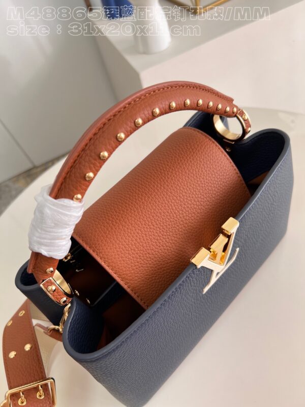 Louis Vuitton Capucines MM Handbag