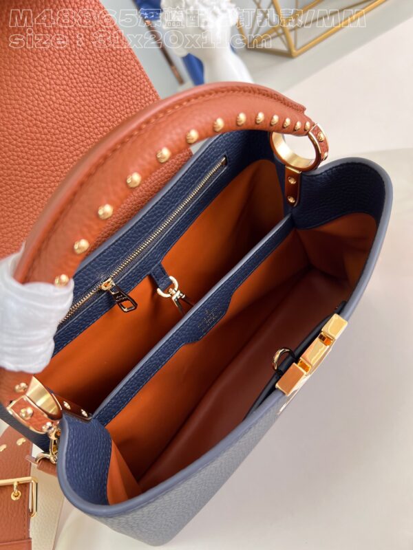 Louis Vuitton Capucines MM Handbag