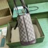 Gucci OPHIDIA MINI TOTE BAG