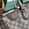Gucci OPHIDIA MINI TOTE BAG