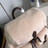 Louis Vuitton LV SKI Backpack