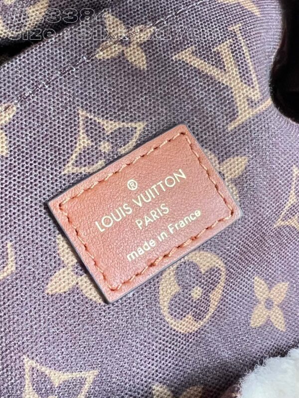Louis Vuitton LV SKI Backpack