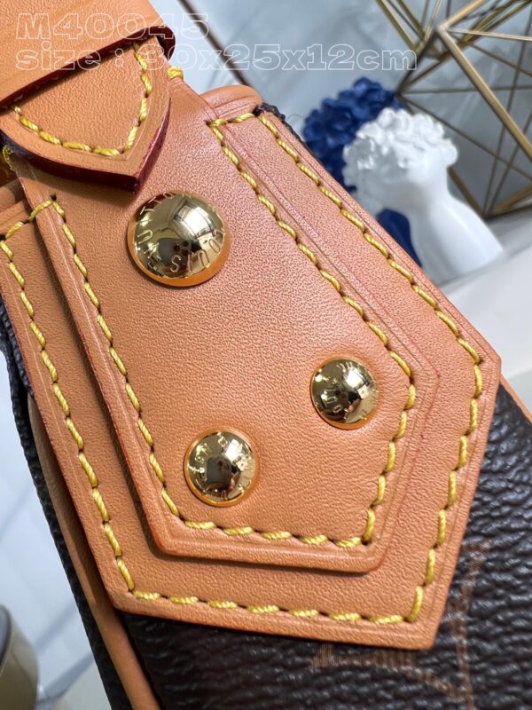 Louis Vuitton Hudson GM bag