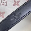 Louis Vuitton Nano Alma