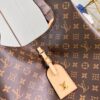 Louis Vuitton Atlantis Large