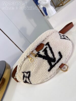 Louis Vuitton Bumbag Medium