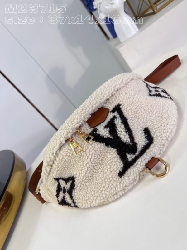 Louis Vuitton Bumbag Medium