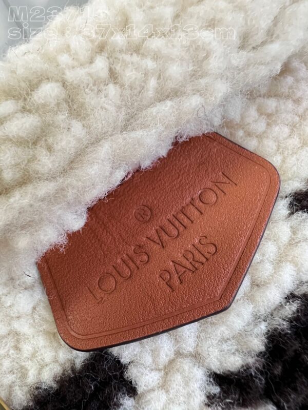 Louis Vuitton Bumbag Medium