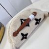 Louis Vuitton Bumbag Medium
