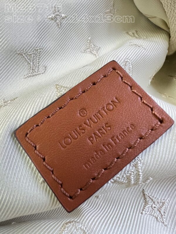 Louis Vuitton Bumbag Medium