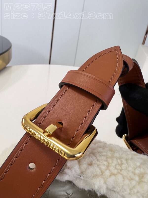 Louis Vuitton Bumbag Medium