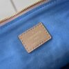 Louis Vuitton Coussin Small Handbag