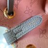 Louis Vuitton Pico Bella