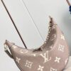 Louis Vuitton Loop Hobo