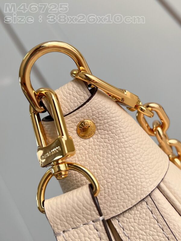 Louis Vuitton Loop Hobo Bag