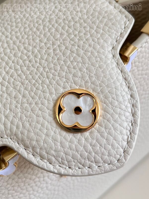 Louis Vuitton Capucines Mini Bag