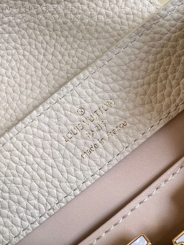 Louis Vuitton Capucines Mini Bag