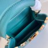 Louis Vuitton Capucines Mini Bag