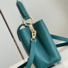 Louis Vuitton Capucines Mini Bag