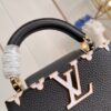 Louis Vuitton Capucines Mini Bag