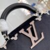 Louis Vuitton Capucines Mini Bag