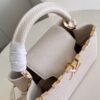 Louis Vuitton Capucines BB Handbag