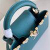 Louis Vuitton Capucines BB Handbag