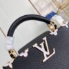 Louis Vuitton Capucines BB Handbag