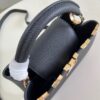 Louis Vuitton Capucines BB Handbag