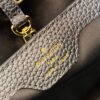 Louis Vuitton Capucines BB Handbag