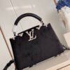 Louis Vuitton Capucines BB Handbag