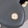 Louis Vuitton Capucines MM Handbag