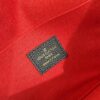 Louis Vuitton Pochette Félicie