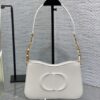 Dior CD SIGNATURE HOBO MINI BAG