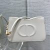 Dior CD SIGNATURE HOBO MINI BAG