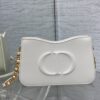 Dior CD SIGNATURE HOBO MINI BAG
