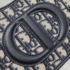 Dior CD SIGNATURE HOBO MINI BAG