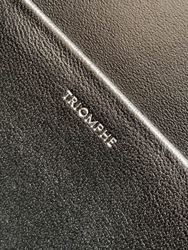 CELINE CLASSIQUE TRIOMPHE BAG