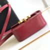 CELINE MINI TRIOMPHE
