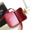 CELINE MINI TRIOMPHE