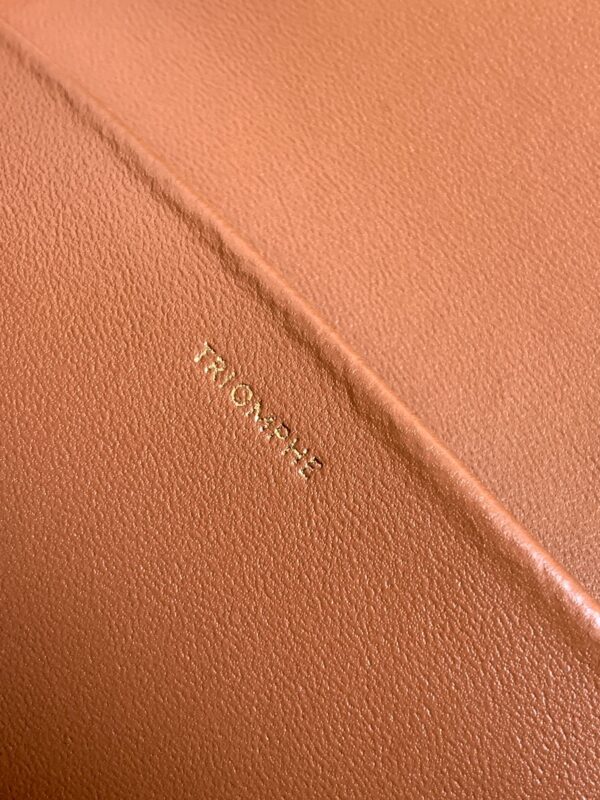 CELINE CLASSIQUE TRIOMPHE BAG