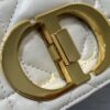 Dior Caro Large
