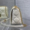 Dior Caro Large