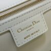 Dior Caro Large