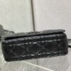 Dior Caro Large