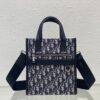 Dior Safari North-South