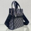 Dior Safari North-South